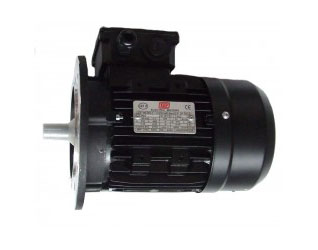 Burner motor - 10